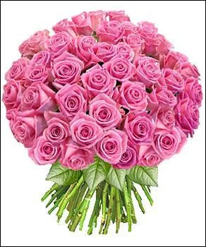 Deux chanteurs pour ces paroles extraites de l'album "love songs" : "Vous me reconnaîtrez, car j'apporte un bouquet de roses."