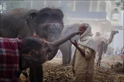 Lors d'une partie de tennis, votre adversaire donne à sa balle une trajectoire tout à fait improbable, qui vous désoriente complètement, vous venez de subir ...
