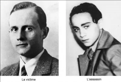 Ce meurtre (commis à Paris contre un diplomate) est une conséquence d'exactions commises contre ses coreligionnaires et, surtout, contre sa famille. Malheureusement, cela en provoqua d'autres au cours d'une journée de destructions et de meurtres. 

Qui est l'assassin (réponse 1 ou 2) ?
Qui est la victime (réponse 3 ou 4) ?