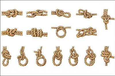 Vous pouvez attacher votre cheval avec un noeud marin ?