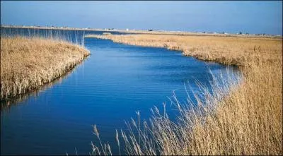 L'Ebre est le plus long fleuve entièrement espagnol.