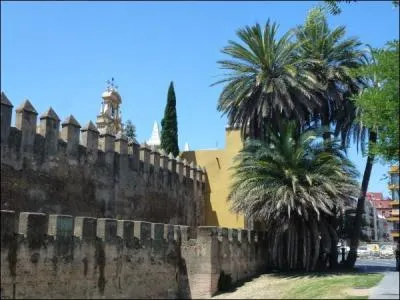 La ville de Séville est traversée par le Guadalquivir.