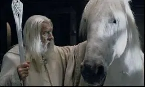 Quel est le nom de la monture du magicien Gandalf ?