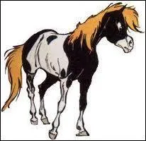 Quel cheval de bandes dessinées est le fidèle compagnon d'un jeune Sioux ?