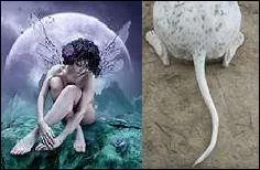 Un conseil : Révisez vos cours d'anglais ! Ce shonen a été créé le 15 décembre 2006.