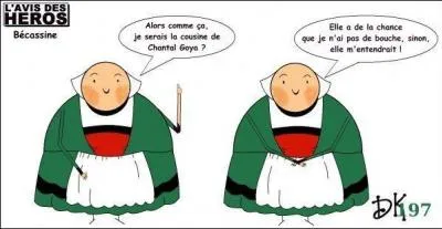 Qu'est-ce qu'une Bécassine ?