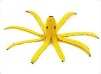 Qu'est-ce qu'un tentacule ?