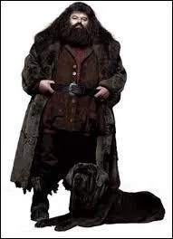 Comment s'appelle le chien de Rubeus Hagrid ?