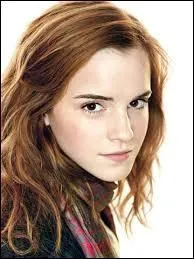 Quel est le statut de sang d'Hermione Granger ?