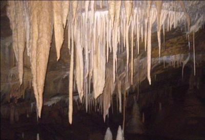 Comment s'appellent ces concrétions de calcite qui descendent du plafond des grottes ?
