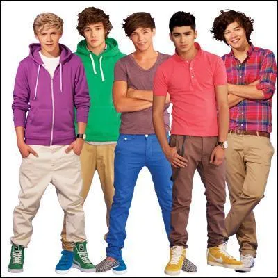 Qui est le plus vieux des One Direction ?