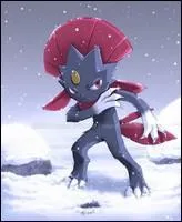 Quel est le nom anglais de Dimoret ?