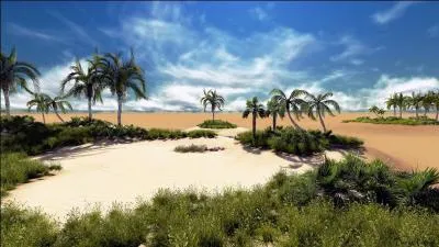 Que représente cette photo ?