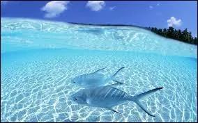 J'ai de quoi faire réfléchir.