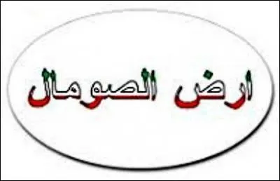 Mais que sont ces jolis dessins, là ? On n' y comprend rien ! Et vous ?