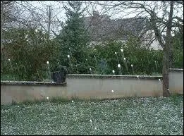 En France, ce mois est connu pour ses giboulées, peut-être pas en Espagne. Comment ce mois se dit-il ?