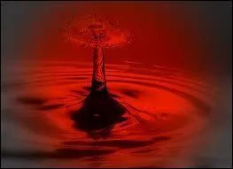 Passons aux couleurs. 
Comment se dit la couleur « rouge » ?