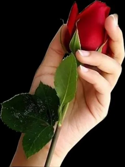 Qui chantait 'Mon amie la rose' ?