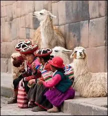 Qui a dit : Ce que je déteste le plus à l'étranger, c'est que les gens parlent pas français. Et selon le pays où on va, ils parlent pas le même étranger ?