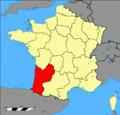 Les Landes sont couvertes de forêts de pins. Lors de quel siècle furent-elle plantées ?