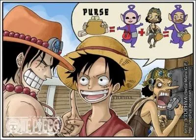 Qui est Usopp, d'après Luffy ?