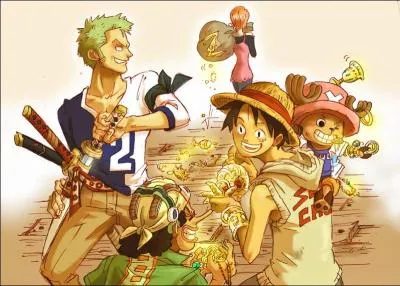 Tout l'équipage de Luffy est riche. Comment ont-ils fait pour gagner tant d'argent ?