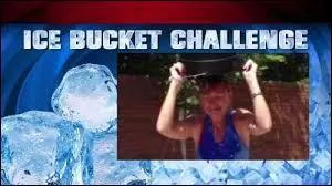 Le principe repose sur le mode du défi en chaîne : lorsqu'une personne, mise au défi, le relève avec succès, elle doit inviter un maximum de :