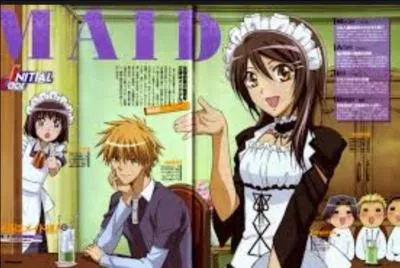 Quel est le travail de Misaki ?