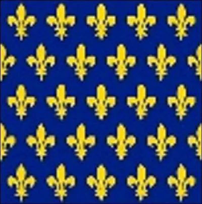 La photo représente la bannière de France autour de 1147. Elle a été utilisée pour une croisade. C'est le roi Louis VII qui' l'a utilisé. Mais que représente-t-elle ?