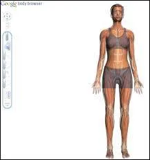 Qu'est-ce que la cinétose ?