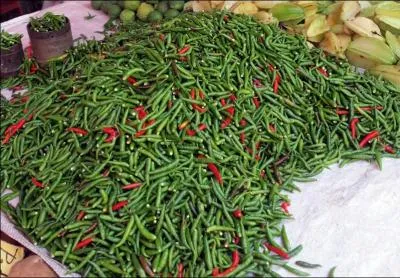 Incontournable de la cuisine réunionnaise, il est utilisé pour relever les plats et est essentiel à la préparation de rougails.