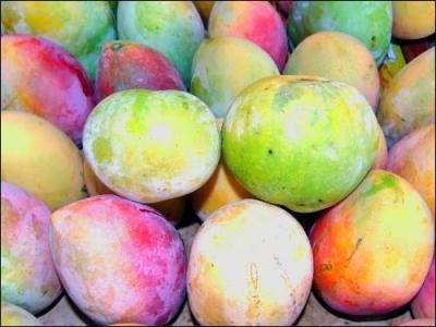 Fruit tropical par excellence, c'est "le" fruit typique de La Réunion.