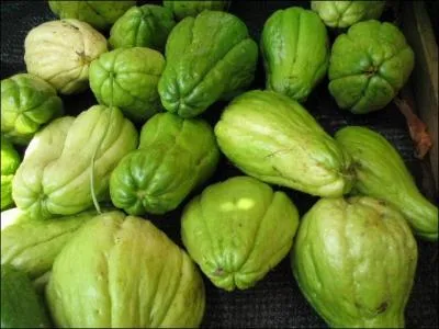 Il est le légume le plus populaire de l'île et s'accommode de la même manière que les courgettes. En daube, en gratin, en salade, en soupe, crème ou velouté, il peut même être préparé sous forme de préparations sucrées (compotes, confitures ou le fameux "gâteau").