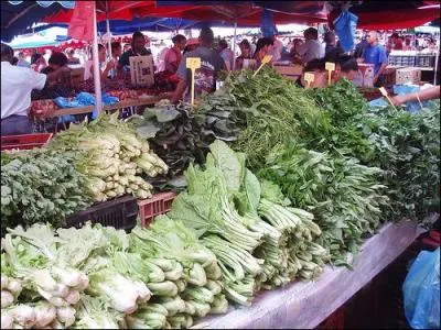 Les Réunionnais consomment beaucoup de feuilles comestibles de différents légumes, ainsi que des bourgeons ou des fleurs (chouchou, citrouille, cresson, morelle...). Quel terme utilisent-ils pour désigner ces différentes feuilles ?