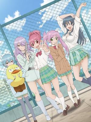 Quiz Manga