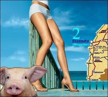 Un "feuilleton" dans une famille bourgeoise française... Encore une ?