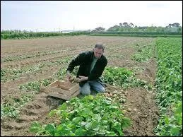Que fait cet agriculteur en octobre ?