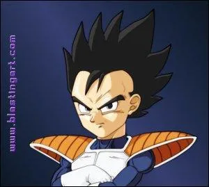 Quel est le vrai prénom du frère de Végéta (pas son surnom) ?