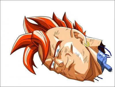 Combien existe-t-il de Cyborgs ?