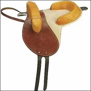 Quelle est cette selle ?