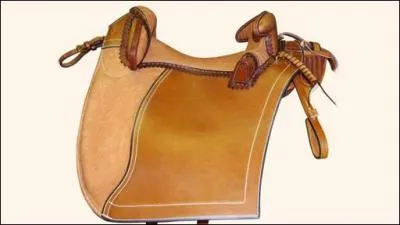 Quelle est cette selle ?