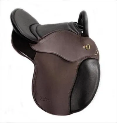 Quelle est cette selle ?