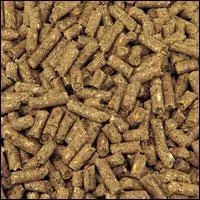 Quelle est cette nourriture ?