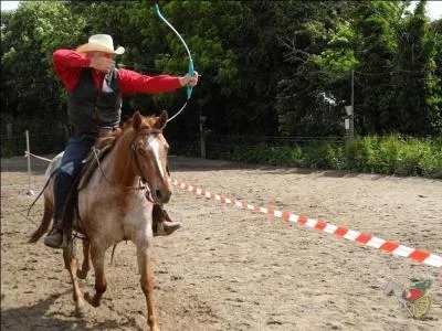 Quelle est cette discipline ?