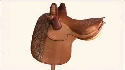 Quelle est cette selle ?