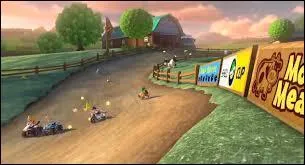 Quel circuit est-ce ?