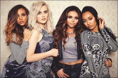 Un autre groupe de musique ayant remporté la huitième saison de X Factor, c'est le premier groupe à gagner la compétition. Il est composé de Leigh-Anne Pinnock, Jesy Nelson, Perrie Edwards, Jade Thirwall. Comment les fans des Little Mix sont-ils appelés ?