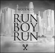 Qui chante " Run Boy Run" ?