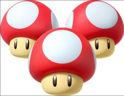 Combien y a-t-il de circuits au total ?