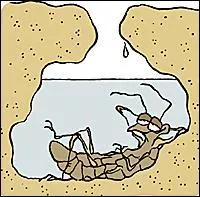 Même petit, je reste propre.